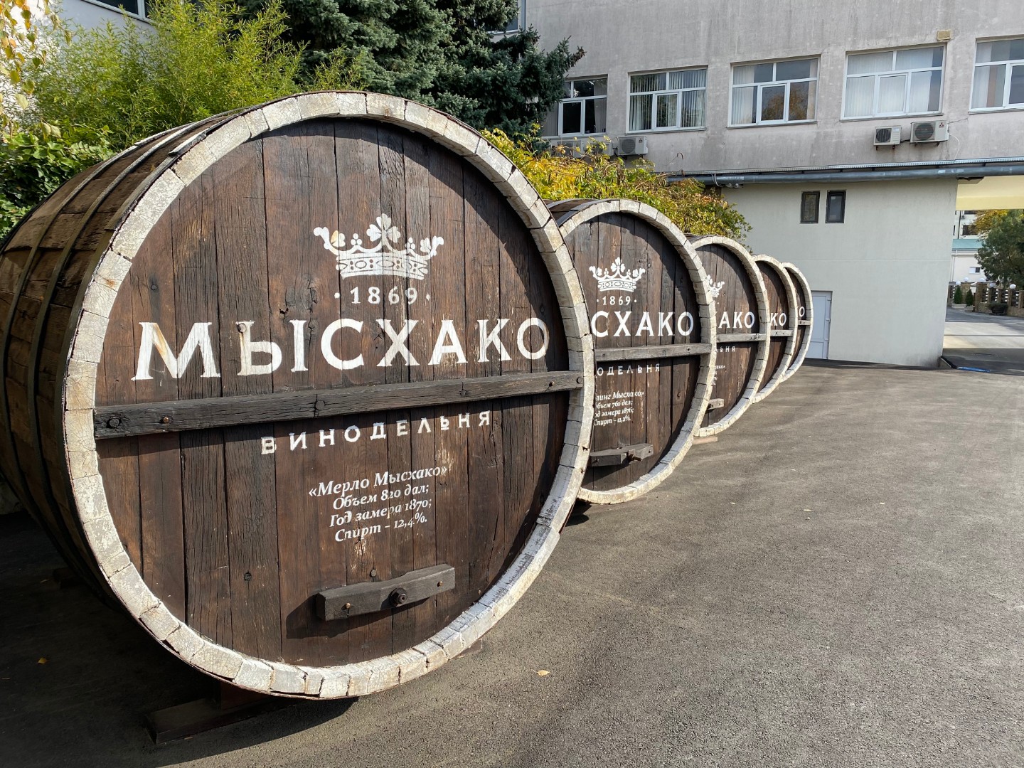 Вино мысхако картинки